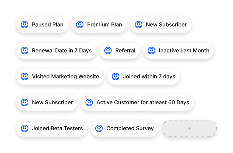 Audience segmentation tags
